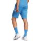 9. Adidas France Gym Men's Shorts Blue JC7182