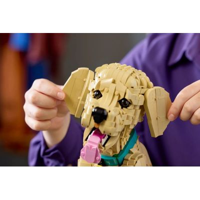13. LEGO 11384 Icons - Golden Retriever Puppy
