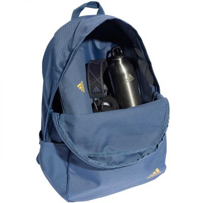 4. Adidas Classic Horizontal 3-Stripes backpack IR9838