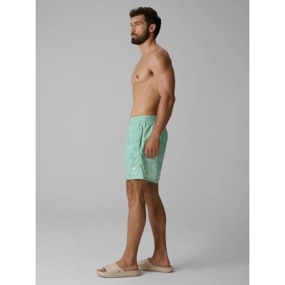 4. Men's boardshorts 4F 4FRSS26UBDSM260-90A