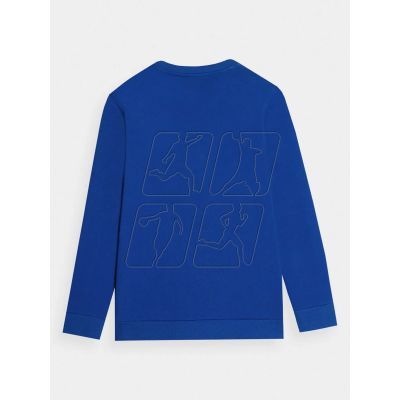 2. 4F Jr sweatshirt 4FJAW23TSWSM631-36S