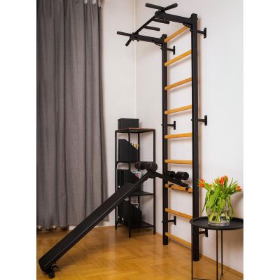 79. GYMNASTIC LADDER WITH A HAND BAR AND A BENCH KIT 723B