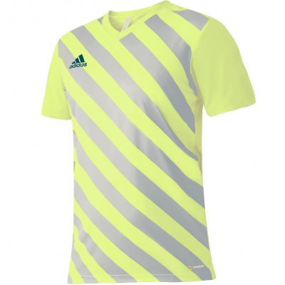 adidas Entrada 22 Graphic Jersey Jr HF0133