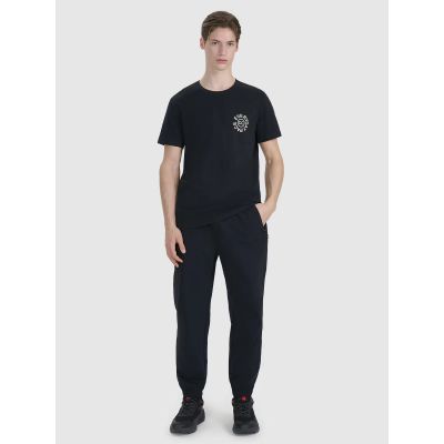 3. Men's regular printed T-shirt 4F 4FWSS25TTSHM1980-20S