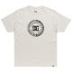 DC Corpo SS Tee ADYZT05396-SCVW Gray S