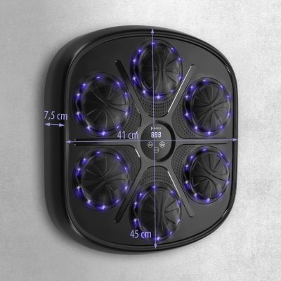 4. TB03 Bluetooth Electronic Boxing Target with Music and HMS Gloves