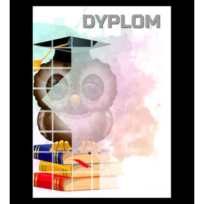 7. Paper diploma - owl (25 pcs.) DYP157