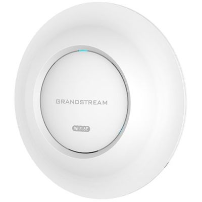4. Grandstream GWN 7665 ACCESS POINT