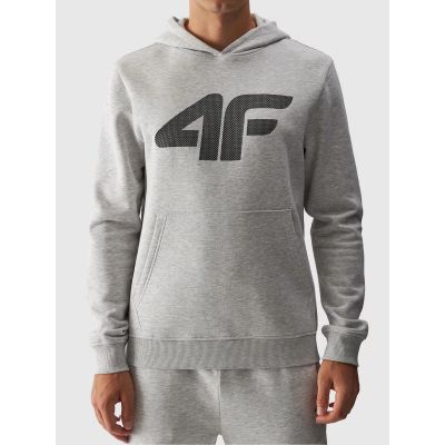 Men's sweatshirt with hood, open, 4F 4FWMM00TSWSM1464-27M