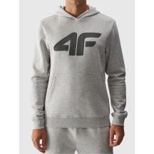 Men's sweatshirt with hood, open, 4F 4FWMM00TSWSM1464-27M