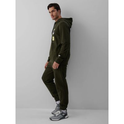 4. Men's jogger sweatpants 4F 4FRAW26TTROM2092-43S