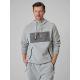Men's regular hooded sweatshirt 4F 4FRSS26TSWSM2975-20S