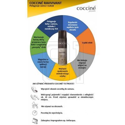 5. Coccine renovator paint for suede and nubuck DA0232A