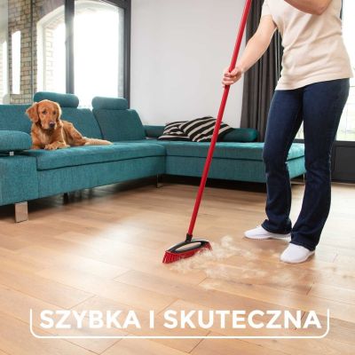 4. Vileda Always Clean PET PRO Hair and Fur Sweeping Brush