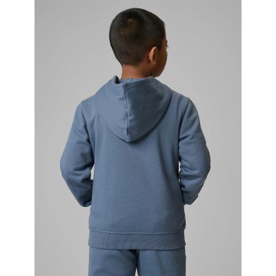 2. Boy's regular hooded sweatshirt 4F 4FJRSS26TSWSM2748-32S