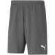 5. Puma teamRise Shorts M 704942 13