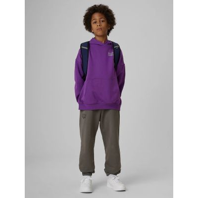 5. Boys’ Loose-Fit Hooded Sweatshirt 4F 4FJRAW26TSWSM3194-51S