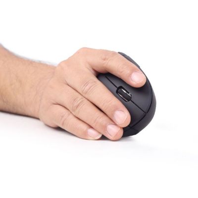 2. GEMBIRD MUSW-ERGO-01 mouse (optical; 1600 DPI; black)