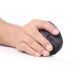 2. GEMBIRD MUSW-ERGO-01 mouse (optical; 1600 DPI; black)