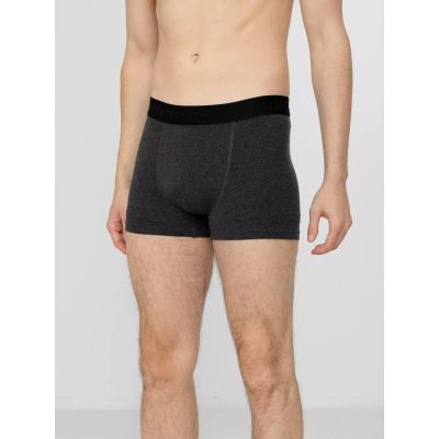 5. Boxer shorts 4F M H4Z22-BIM350-92S