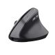 10. TRUST BAYO II ERGONOMIC WIRELESS MOUSE BLK (25145)