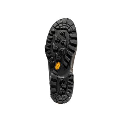 7. La Sportiva TX5 Low GTX Approach Shoes - Tiger/Savana