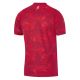2. Nike Poland Stadium Away Jersey IO8505-625