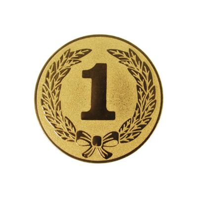 Aluminium Insert – Number 1