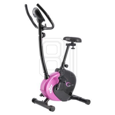 57. Magnetic bike purple HMS M9239V