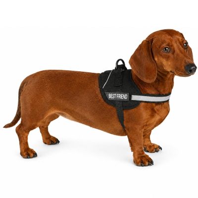 15. DOG HARNESS WITH REFLECTIVE TAPE 37 - 49 CM SMALL