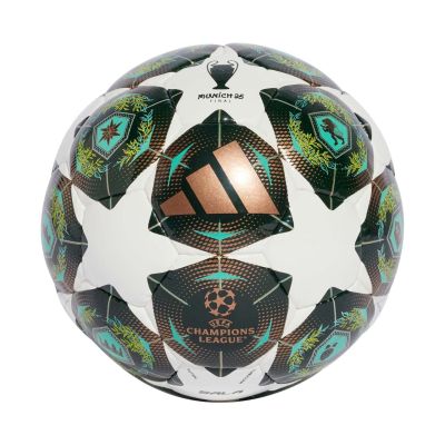 5. adidas UCL Pro Sala 24/25 JH1294 Football