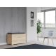 2. OPAL SONOMA SHOE CABINET