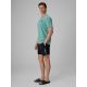 4. Men's 4F boardshorts with UPF50+ sun protection 4FRSS26UBDSM258-20S