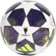 2. adidas UCL Mini JX9099 Ball