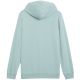 2. Puma Ess 2 Color Small No.1 Logo Hoodie TR M 684719 67