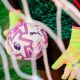 5. Puma Orbita Pro PL Brillance FIFA Quality Ball 084707-01