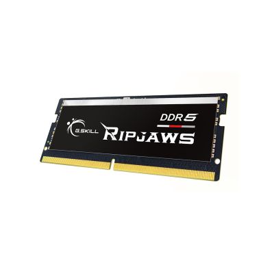 3. G.Skill Ripjaws F5-4800S4039A16GX1-RS Memory Module 16GB 1 x 16GB DDR5 262-pin SO-DIMM