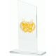 5. Engraved glass trophy + paint filling