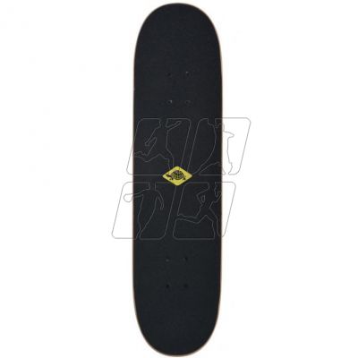 2. Schildkrot Slider Cool King 510643 skateboard