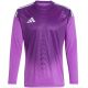 adidas Tiro 25 Competition M JI9726 goalkeeper jersey