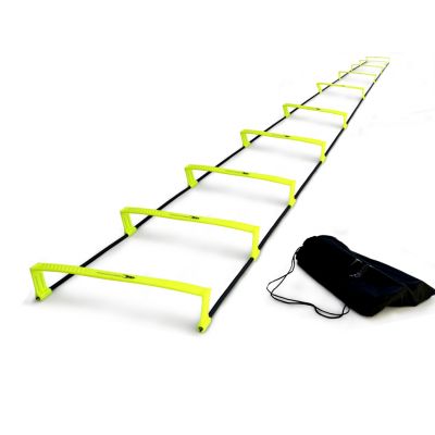Yakima 10-step step ladder 100270