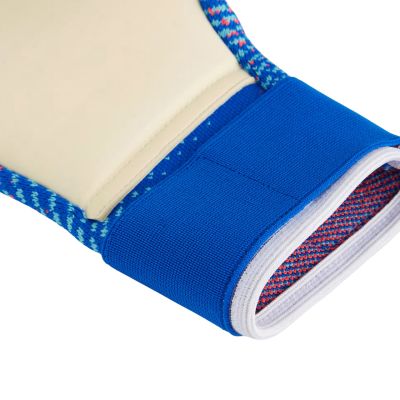 3. Puma Future Pro Goalkeeper Gloves Blue 41924 04