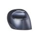 3. BakkerElkhuizen Evoluent D Vertical Mouse with 6 Buttons, Small, Wireless
