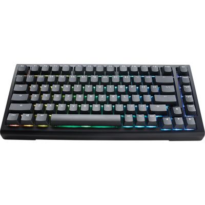 Ducky Tinker 75 Gaming Keyboard USB German Black