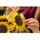 15. LEGO Botanical Collection 11502 - Sunflower Bouquet