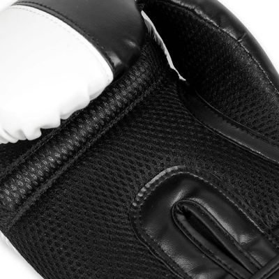 15. 10oz Boxing Gloves - Harmony - Valor Series