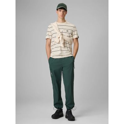 Men's casual joggers 4F 4FRSS26TTROM1915-40S