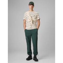 Men's casual joggers 4F 4FRSS26TTROM1915-40S