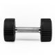 2. Dumbbell Body Sculpture TPU BW 133 8 KG