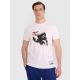 Men's regular t-shirt with volleyball print 4F 4FRAW25TTSHM3235-10S